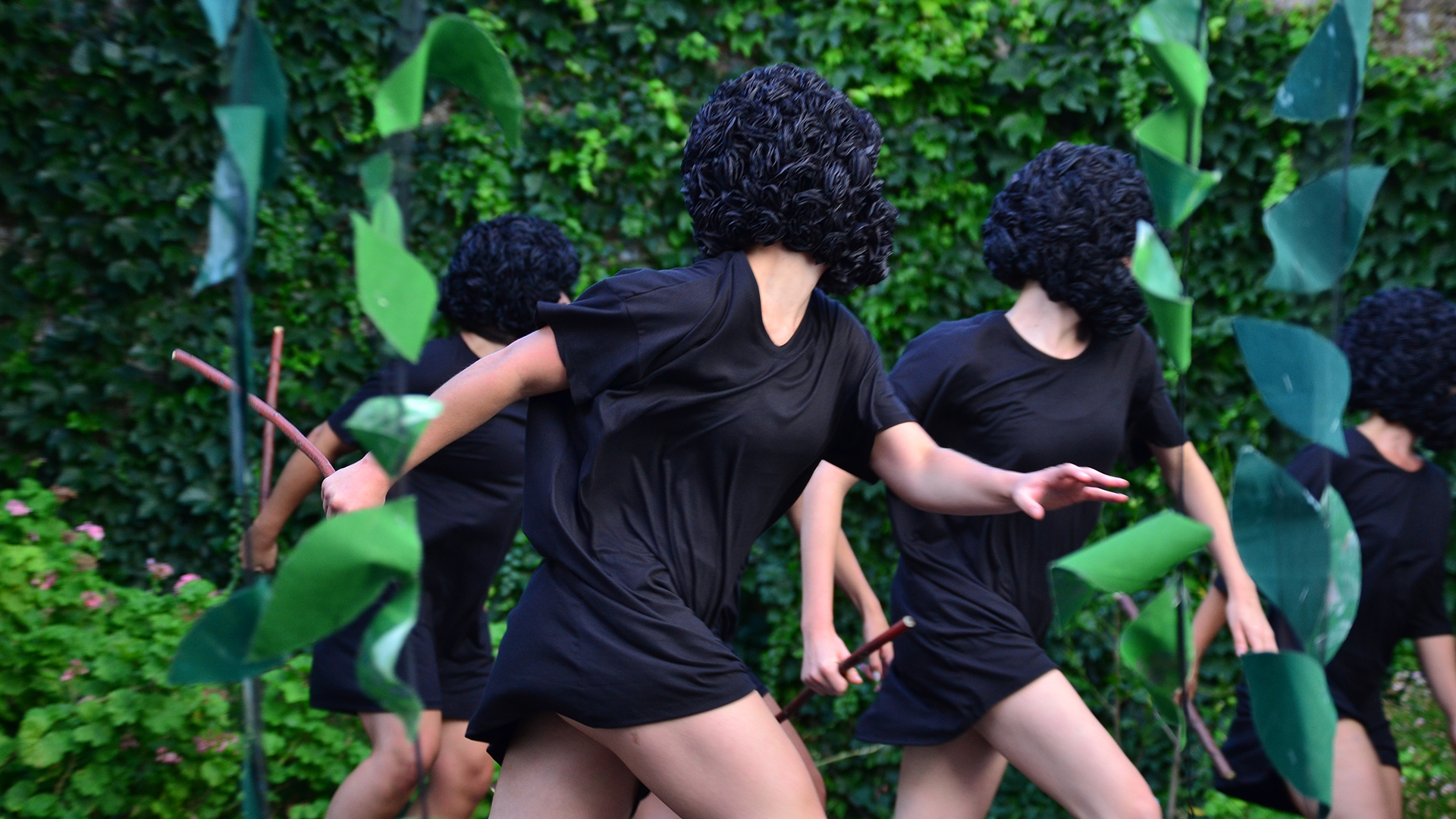 Danza en red